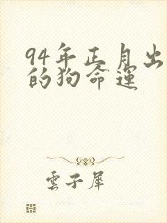 94年正月出生的狗命运封面