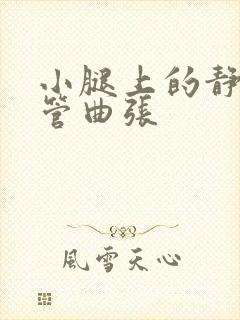 小腿上的静脉血管曲张