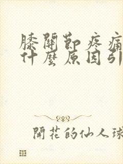 膝关节疼痛会是什么原因引起的封面