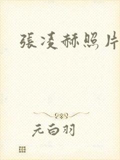 张凌赫照片高清