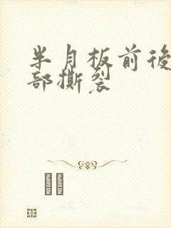 半月板前后角体部撕裂封面