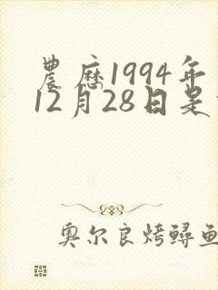 农历1994年12月28日是什么命封面