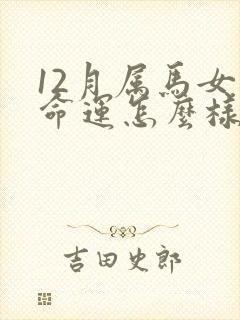 12月属马女的命运怎么样