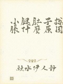 小腿肚子总是酸胀什么原因引起的封面