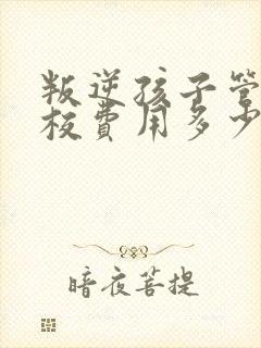 叛逆孩子管教学校费用多少