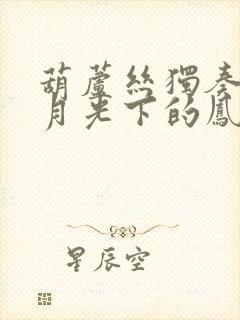 葫芦丝独奏曲 月光下的凤尾竹降b调