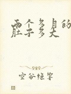 两个多月的孕妇肚子多大