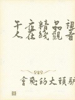 午夜精品视频成人在线观看视频