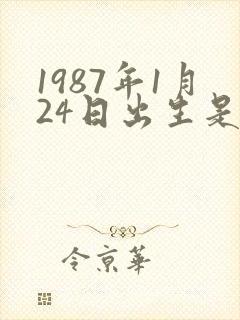 1987年1月24日出生是什么命