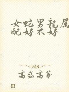 女蛇男龙属相婚配好不好封面