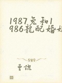 1987兔和1986龙配婚姻好不好封面
