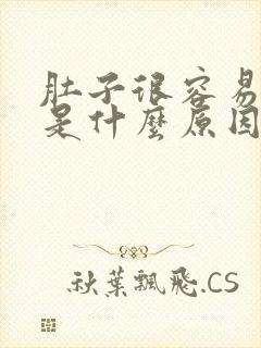 肚子很容易胀气是什么原因