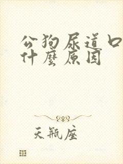 公狗尿道口出血什么原因