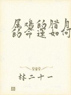 属鸡的腊月出生的命运如何封面