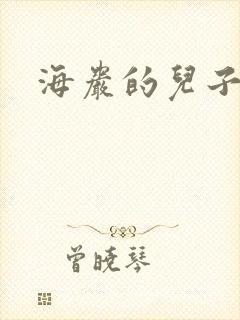 海岩的儿子封面