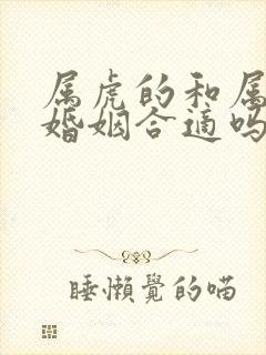 属虎的和属牛的婚姻合适吗