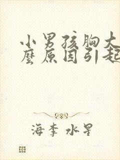 小男孩胸大是什么原因引起