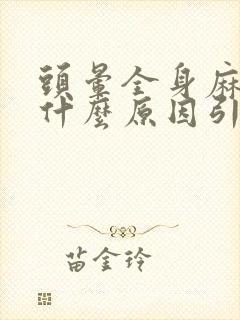 头晕全身麻木是什么原因引起的