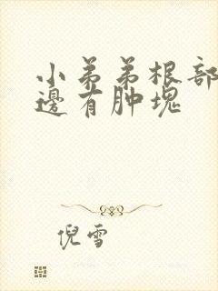 小弟弟根部右旁边有肿块