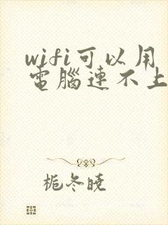 wifi可以用电脑连不上网怎么回事