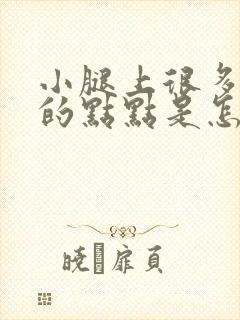 小腿上很多红色的点点是怎么回事