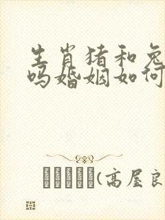 生肖猪和兔相配吗婚姻如何