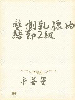 双侧乳腺内囊性结节2级