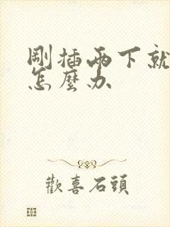 刚插两下就射了怎么办封面