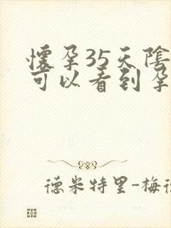 怀孕35天阴超可以看到孕囊吗