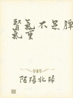 肾气不足脾虚湿气重封面