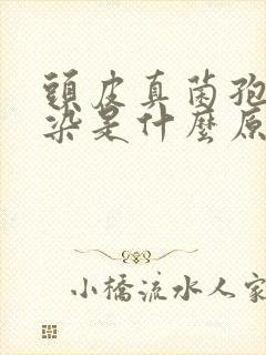 头皮真菌孢子感染是什么原因引起的封面