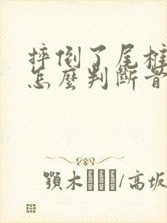 摔倒了尾椎骨疼怎么判断骨折封面