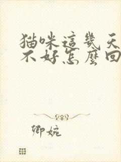 猫咪这几天食欲不好怎么回事