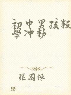 初中男孩叛逆厌学冲动