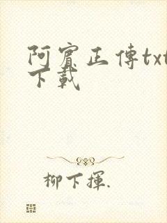 阿宾正传txt下载