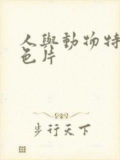 人与动物特级黄色片