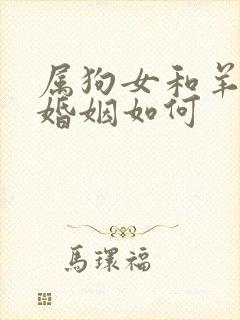 属狗女和羊相配婚姻如何