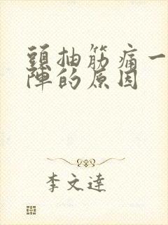 头抽筋痛一阵一阵的原因