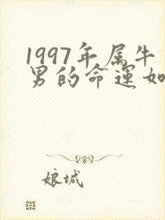 1997年属牛男的命运如何