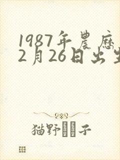 1987年农历2月26日出生命运如何封面
