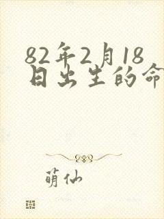 82年2月18日出生的命运封面
