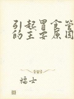 引起胃食管反流的主要原因