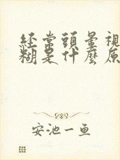 经常头晕视力模糊是什么原因引起的封面