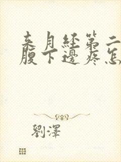 来月经第二天小腹下边疼怎么回事封面