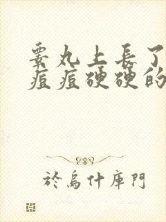 睾丸上长了一个痘痘硬硬的