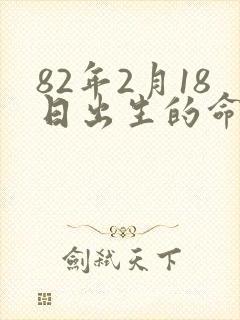 82年2月18日出生的命运