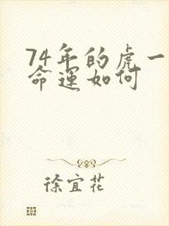 74年的虎一生命运如何封面