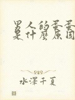 男人的蛋蛋肿疼是什么原因?