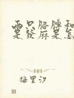 两只胳膊和手总是发麻是怎么回事封面