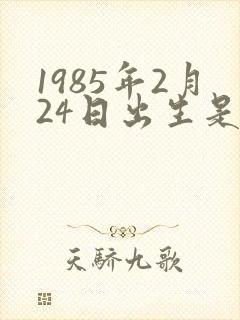 1985年2月24日出生是什么命封面